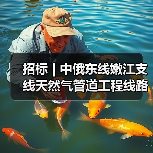 招标 | 中俄东线嫩江支线天然气管道工程线路（第一标段）线路土石方、水保及阀室土建工程招标（图2）