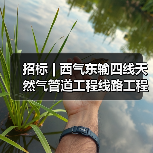 招标 | 西气东输四线天然气管道工程线路工程施工第二标段阀室土建工程招标(图1) 招标 | 西气东输四线天然气管道工程线路工程施工第二标段阀室土建工程招标(图1)