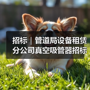 招标|管道局设备租赁分公司真空吸管器招标项目(三次)(图3) 招标|管道局设备租赁分公司真空吸管器招标项目(三次)(图3)