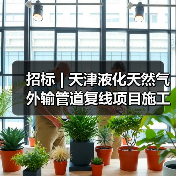 招标 | 天津液化天然气外输管道复线项目施工运管设备租赁招标(图3) 招标 | 天津液化天然气外输管道复线项目施工运管设备租赁招标(图3)