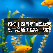 招标 | 西气东输四线天然气管道工程项目线路工程施工第二标段阀室土建工程招标（图2）