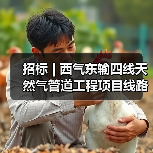 招标 | 西气东输四线天然气管道工程项目线路工程施工第二标段阀室土建工程招标