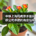 中铁上海局南京水务环保公司承建的南京仙林污水处理厂异地扩建项目尾水管道开工建设(图1) 中铁上海局南京水务环保公司承建的南京仙林污水处理厂异地扩建项目尾水管道开工建设(图1)
