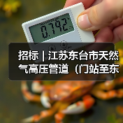 招标 | 江苏东台市天然气高压管道(门站至东渣路)工程二标段施工招标(图4) 招标 | 江苏东台市天然气高压管道(门站至东渣路)工程二标段施工招标(图4)