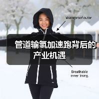 管道输氢加速跑背后的产业机遇(图4) 管道输氢加速跑背后的产业机遇(图4)