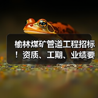 榆林煤矿管道工程招标!资质、工期、业绩要求全解析(图1) 榆林煤矿管道工程招标!资质、工期、业绩要求全解析(图1)