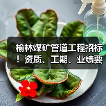 榆林煤矿管道工程招标!资质、工期、业绩要求全解析(图2) 榆林煤矿管道工程招标!资质、工期、业绩要求全解析(图2)
