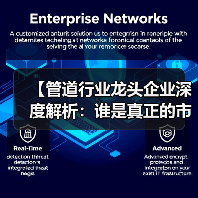 【管道行业龙头企业深度解析：谁是真正的市场霸主？】（图3）