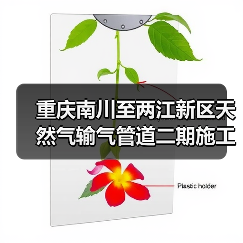 重庆南川至两江新区天然气输气管道二期施工二次招标动态(图2) 重庆南川至两江新区天然气输气管道二期施工二次招标动态(图2)