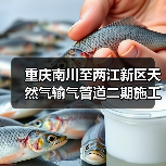 重庆南川至两江新区天然气输气管道二期施工二次招标动态(图4) 重庆南川至两江新区天然气输气管道二期施工二次招标动态(图4)