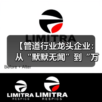 【管道行业龙头企业：从“默默无闻”到“万众瞩目”，这10家企业凭什么脱颖而出？】