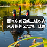 西气东输四线工程攻克荒漠保护区难题,吐鲁番至中卫段主体完工(图4) 西气东输四线工程攻克荒漠保护区难题,吐鲁番至中卫段主体完工(图4)