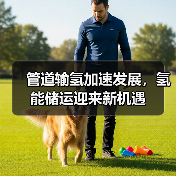管道输氢加速发展，氢能储运迎来新机遇（图3）