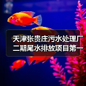 天津张贵庄污水处理厂二期尾水排放项目第一节管道顺利入槽（图2）