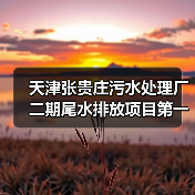 天津张贵庄污水处理厂二期尾水排放项目第一节管道顺利入槽（图4）