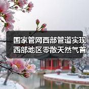 国家管网西部管道实现西部地区零散天然气首次上载(图2) 国家管网西部管道实现西部地区零散天然气首次上载(图2)