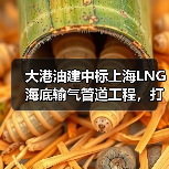 大港油建中标上海LNG海底输气管道工程，打破国内纪录（图2）