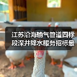 江苏沿海输气管道四标段深井降水服务招标最新动态!投标全攻略(图2) 江苏沿海输气管道四标段深井降水服务招标最新动态!投标全攻略(图2)