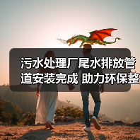 污水处理厂尾水排放管道安装完成 助力环保整改攻坚(图3) 污水处理厂尾水排放管道安装完成 助力环保整改攻坚(图3)