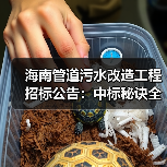 海南管道污水改造工程招标公告：中标秘诀全解析