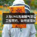 上海LNG海底输气管道工程签约,如何保障城市能源安全?(图1) 上海LNG海底输气管道工程签约,如何保障城市能源安全?(图1)