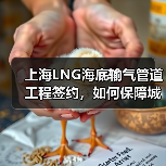 上海LNG海底输气管道工程签约,如何保障城市能源安全?(图3) 上海LNG海底输气管道工程签约,如何保障城市能源安全?(图3)
