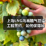上海LNG海底输气管道工程签约,如何保障城市能源安全?(图4) 上海LNG海底输气管道工程签约,如何保障城市能源安全?(图4)