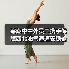 寒潮中中外员工携手保障西北油气通道安稳输送（图3）