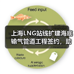 上海LNG站线扩建海底输气管道工程签约，助力城市能源保供升级