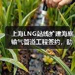上海LNG站线扩建海底输气管道工程签约,助力城市能源保供升级(图2) 上海LNG站线扩建海底输气管道工程签约,助力城市能源保供升级(图2)