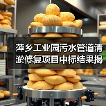 萍乡工业园污水管道清淤修复项目中标结果揭晓(图3) 萍乡工业园污水管道清淤修复项目中标结果揭晓(图3)
