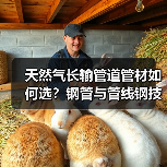 天然气长输管道管材如何选?钢管与管线钢技术解析(图3) 天然气长输管道管材如何选?钢管与管线钢技术解析(图3)