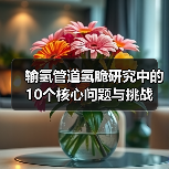 输氢管道氢脆研究中的10个核心问题与挑战(图1) 输氢管道氢脆研究中的10个核心问题与挑战(图1)