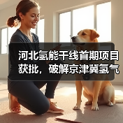 河北氢能干线首期项目获批,破解京津冀氢气运输难题(图2) 河北氢能干线首期项目获批,破解京津冀氢气运输难题(图2)