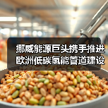 挪威能源巨头携手推进欧洲低碳氢能管道建设(图3) 挪威能源巨头携手推进欧洲低碳氢能管道建设(图3)