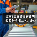 海南8海底管道弃置回收服务招标二次，企业竞标条件解析（图4）