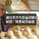 湖北天然气管道运输价调整：降费减负解读（图2）