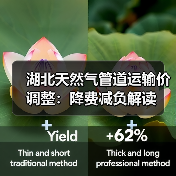 湖北天然气管道运输价调整：降费减负解读（图3）