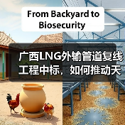 广西LNG外输管道复线工程中标，如何推动天然气互联互通？（图2）