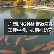 广西LNG外输管道复线工程中标，如何推动天然气互联互通？（图3）