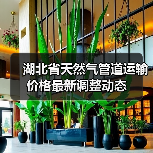 湖北省天然气管道运输价格最新调整动态（图3）