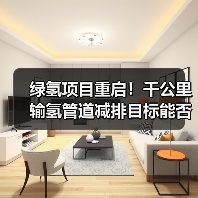 绿氢项目重启！千公里输氢管道减排目标能否实现？（图3）
