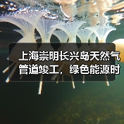 上海崇明长兴岛天然气管道竣工，绿色能源时代即将开启（图2）