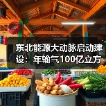 东北能源大动脉启动建设：年输气100亿立方米（图2）