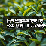 油气管道建设突破1万公里 新高！助力能源安全与全国网络完善（图3）