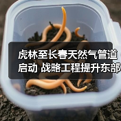 虎林至长春天然气管道启动 战略工程提升东部能源保供