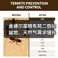 金德尔摩根布局二叠纪盆地，天然气需求增长或催生两条新管道