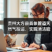 贵州大方县首条管道天然气投运，实现清洁能源覆盖新突破（图4）
