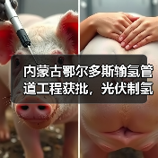 内蒙古鄂尔多斯输氢管道工程获批，光伏制氢配套项目启动（图2）