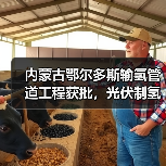 内蒙古鄂尔多斯输氢管道工程获批，光伏制氢配套项目启动